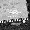 FM22L16-55-TG Real Image