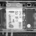 G6K-2F-Y Real Image