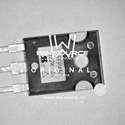 IRFP450PBF Real Image