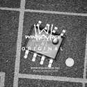 LM2903MX Real Image