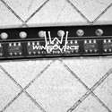LM5050MK-1 Real Image3