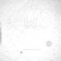 LM5050MKX-1/NOPB Real Image5