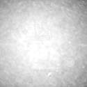 LPC2132FBD64 Real Image