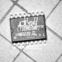 LT1014DSW Real Image