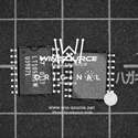 LT1058ISW Real Image