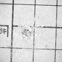 LTC3892EUH-2#PBF Real Image
