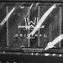 MT48LC16M16A2P-75:D Real Image2
