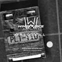 PLT133/T10W Real Image