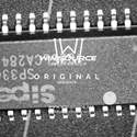 SP334CT-L Real Image