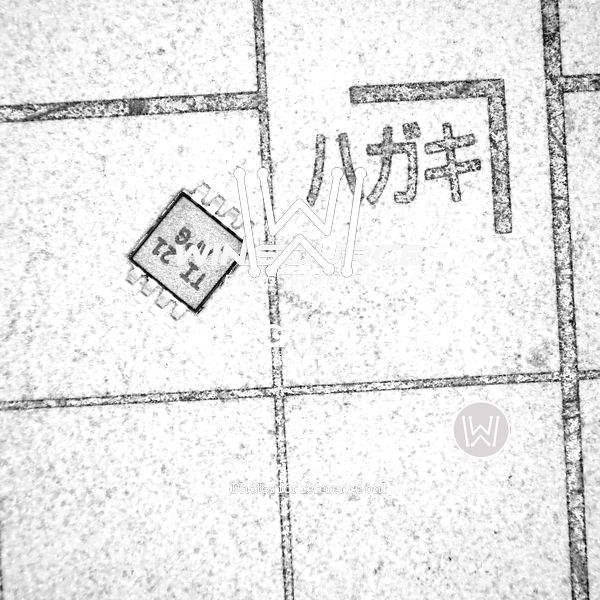 TLV2372IDGKR Real Image5