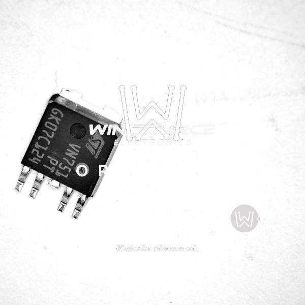 VN751PT13TR Real Image