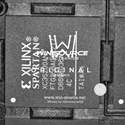 XC3S200AN-4FTG256C Real Image2