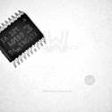 XCF04SVOG20C Real Image1