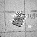 XCF04SVOG20C Real Image5
