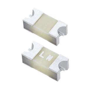 0470002.DRSNP Littelfuse Inc.