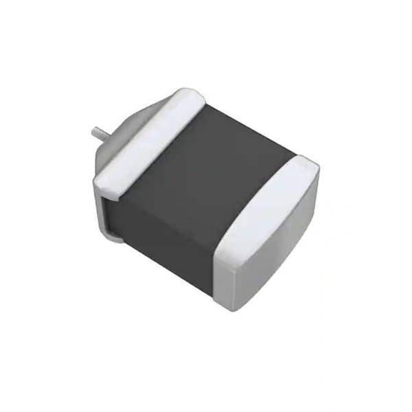 195D156X9025Z2T Real Image