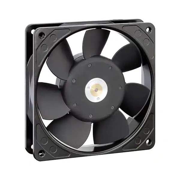 9956 Real Image