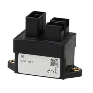 AEV110122 Real Image