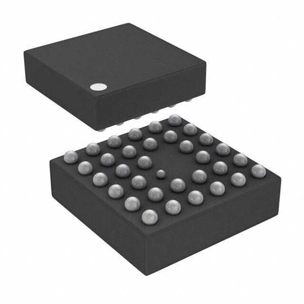 BU24031GW-E2 Real Image