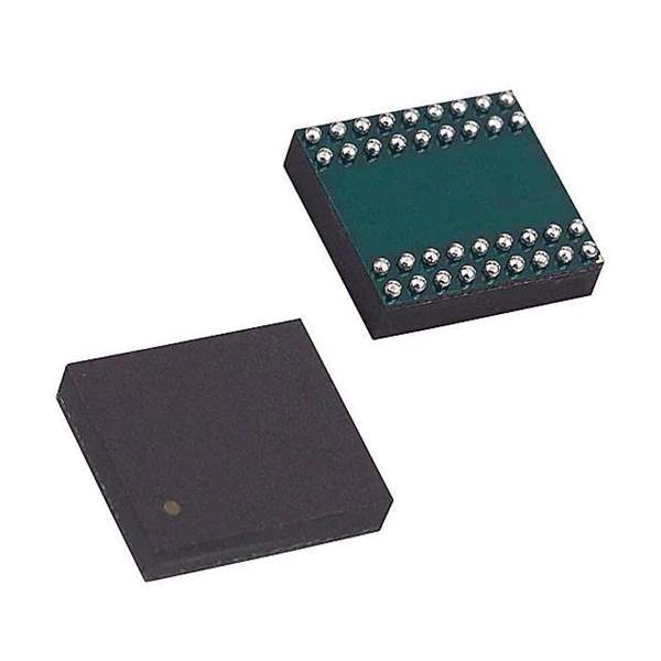 DS32KHZN/WBGA Real Image