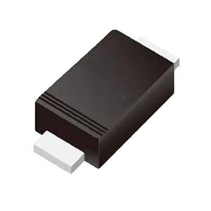 DSK110 Real Image