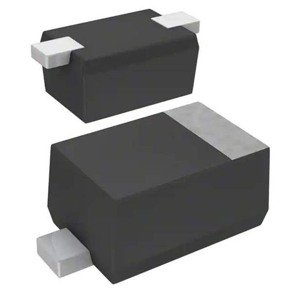 DZ2S082M0L Real Image