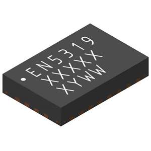 EN5319QI Real Image