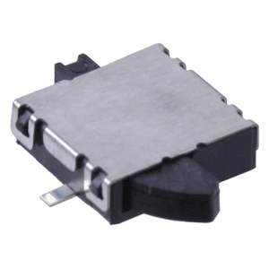 ESE-31R11T Real Image