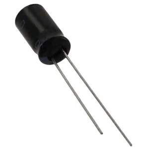 ESMG250ELL101MF11D Real Image