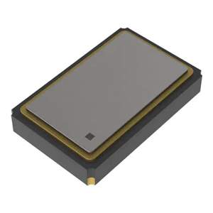 FY2400064 Real Image