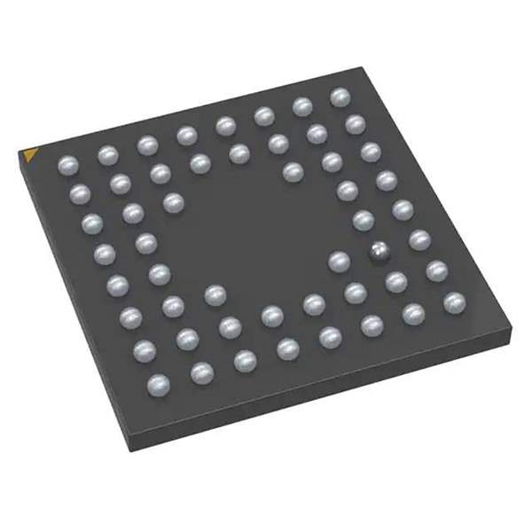 MT9V024IA7XTC-DP Real Image