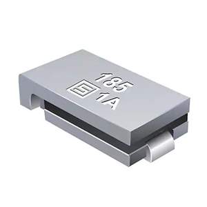 PFSM.250.2 Real Image