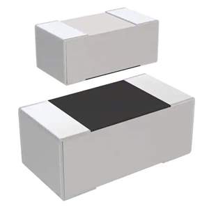 RC1005J103CS Real Image