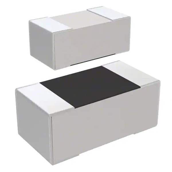 RC1005J103CS Real Image