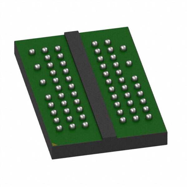 W971GG8SB25I Real Image