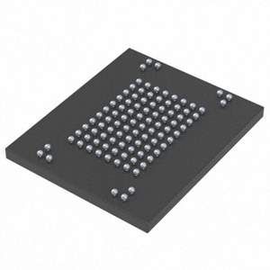 NSEC00K004-ITInsignis Technology Corporation