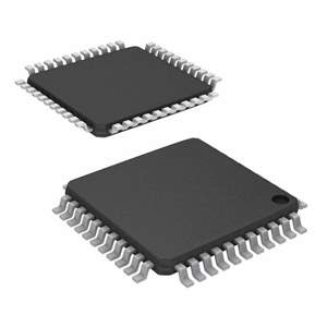 DS21348TN+ Real Image