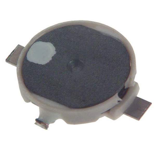 ELT-5KT100MC Real Image