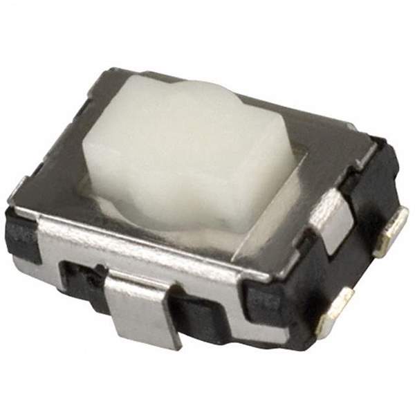 EVQ-P2P02W Real Image