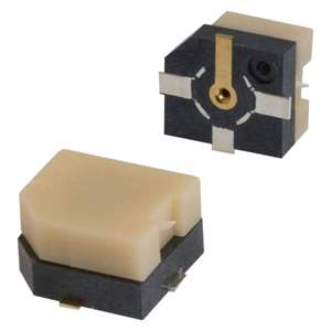 H.FL-R-SMT(C)(10) Real Image