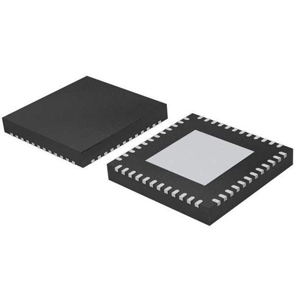 LPC2102FHN48 Real Image