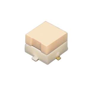 S.FL2-R-SMT(C)(10)  Real Image