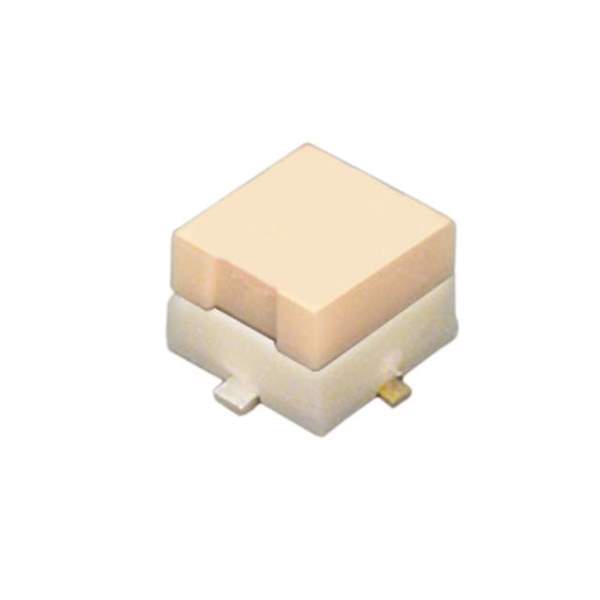 S.FL2-R-SMT(C)(10)  Real Image