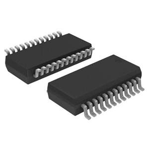 SP207CA-L Real Image