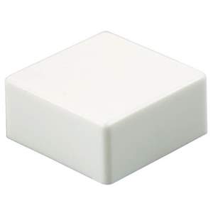 SW-259 Real Image