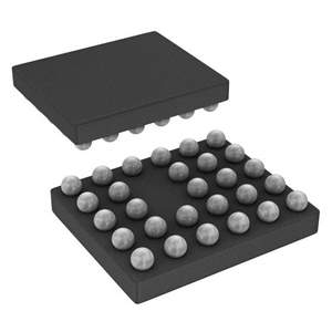 TSC2005IYZLR Real Image