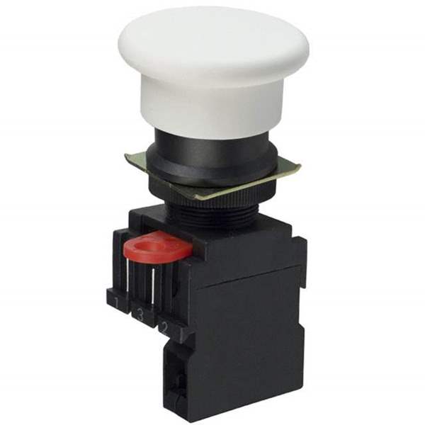 Z1464 Real Image