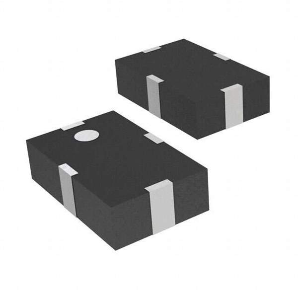 FI168P245010-T Real Image