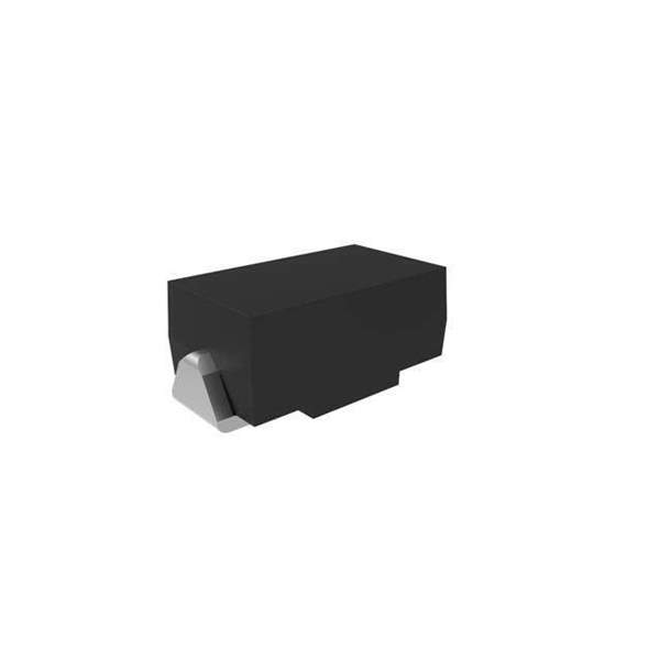 FS1GE-TP Real Image