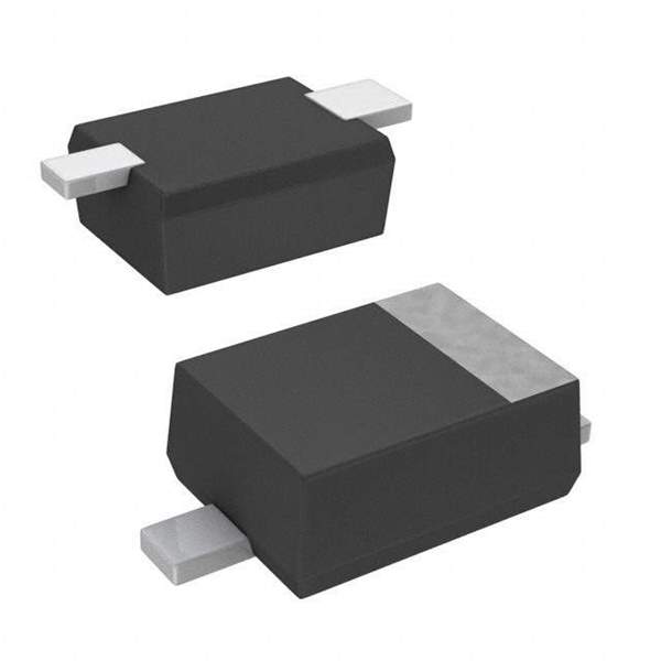 DZ2J09100L Real Image